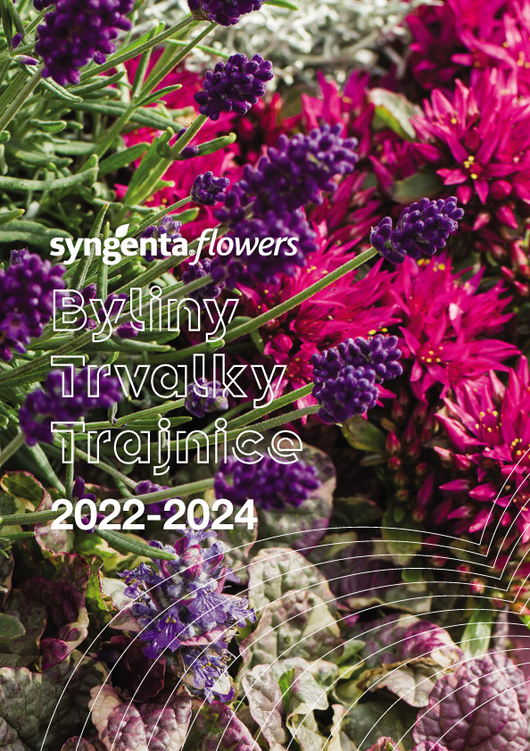 Byliny Syngenta Flowers 2022-2024