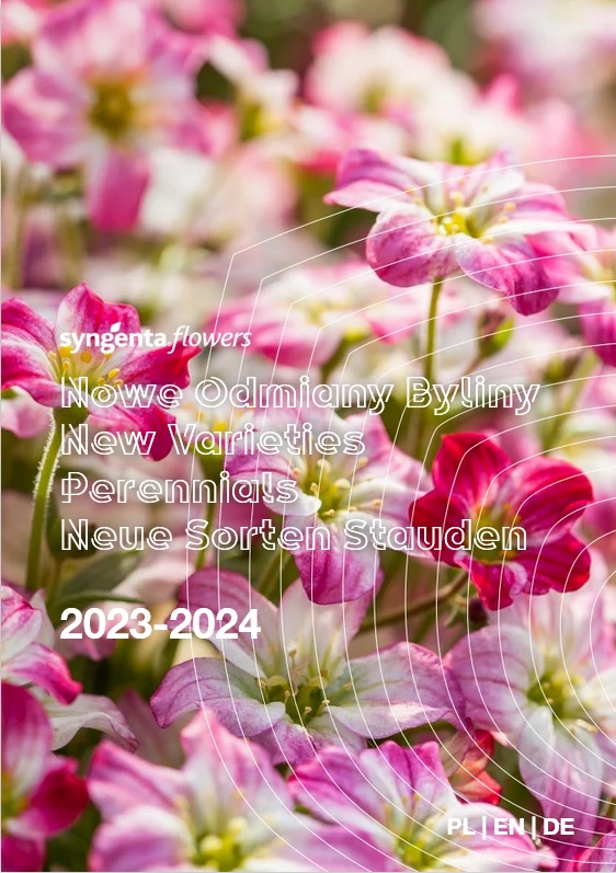 Byliny Syngenta Flowers 2022-2024