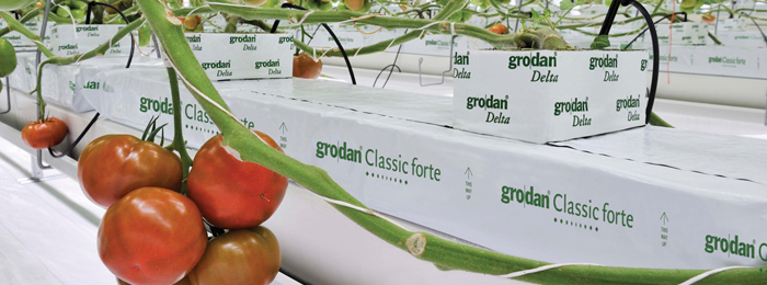 Cultivation mats Grodan Classic Forte