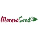 Vegetable seeds Moravo Seed