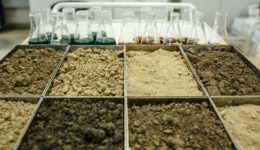 Analiza próbek gleby i wody
