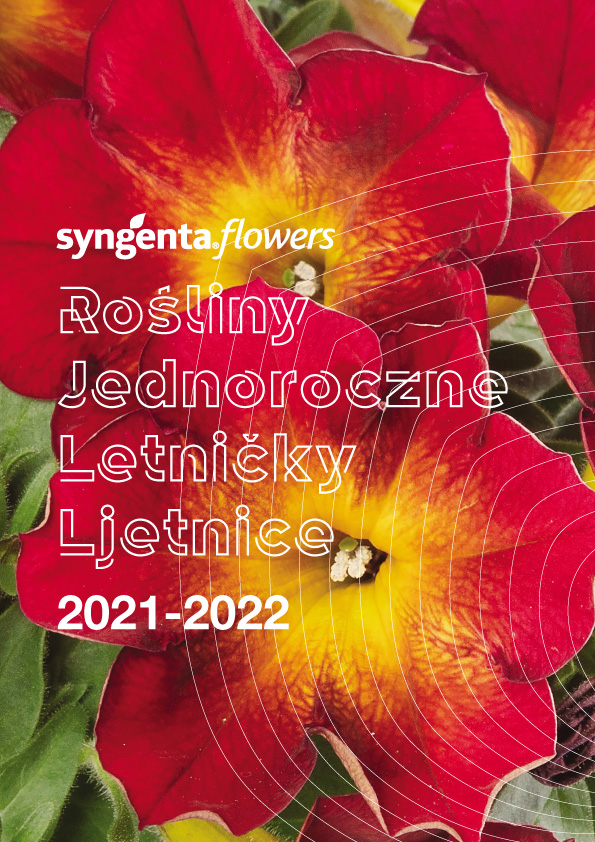 Katalog roślin jednorocznych 2022