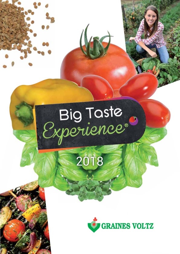 PNOS cennik Graines Voltz big taste experience 2018